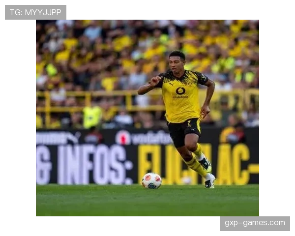 德甲新赛季豪门引援大升级,战略布局成夺冠关键 德甲新赛季豪门引援大升级,战略布局成夺冠关键