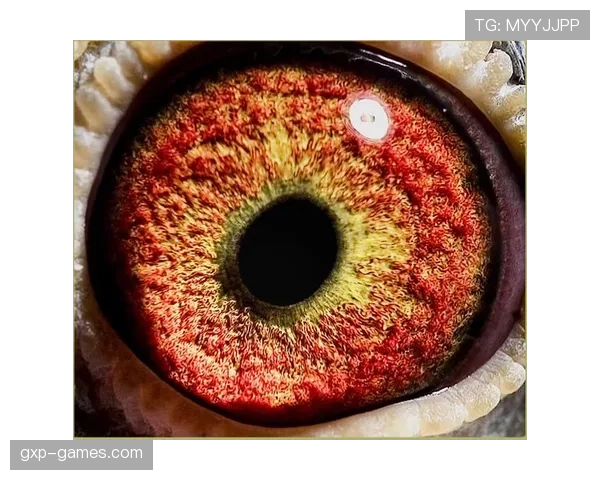 贝肯鲍尔统治力持续攀升，足球传奇再书辉煌篇章